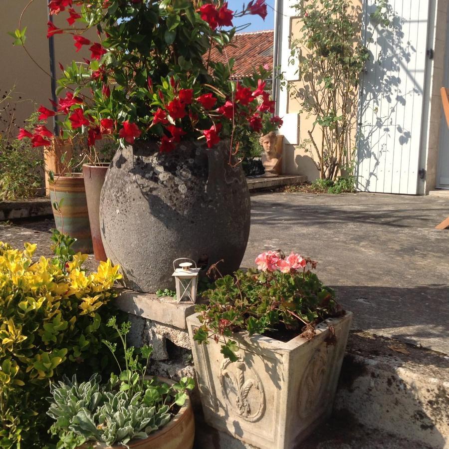 La Grange Terrou Guest House Saint-Germain-de-Confolens Bagian luar foto
